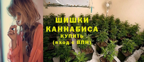 a pvp Белокуриха