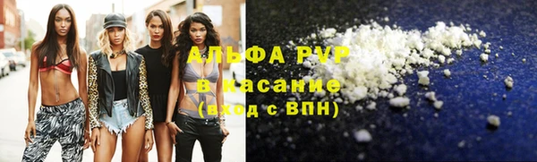 a pvp Белокуриха