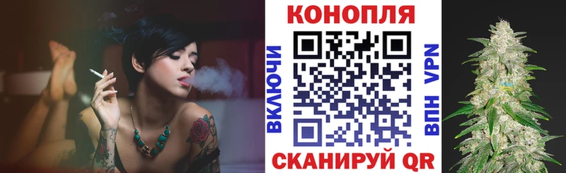 Каннабис OG Kush Удачный
